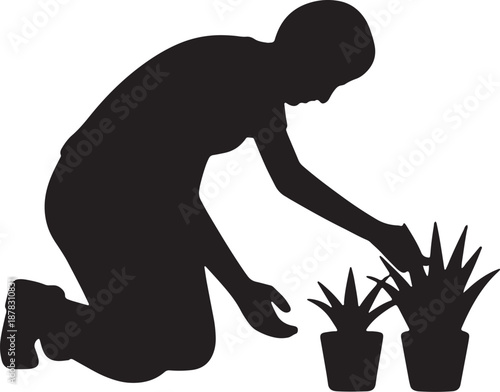 Silhouette of a person kneeling and tending to potted plants gardening
