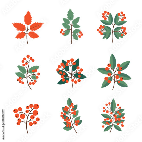 Extensive collection of nine different botanical branches featuring vibrant red berries and lush green leaves, ideal for seasonal designs.