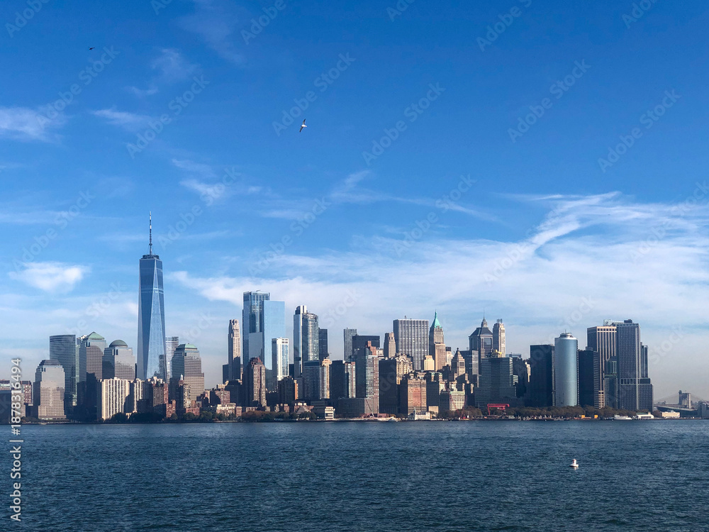 Fototapeta premium new york city skyline