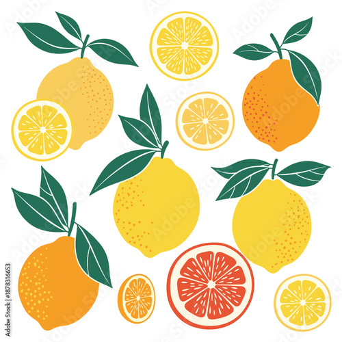 Vibrant collection of assorted citrus fruits, including whole lemons, oranges, and grapefruits, plus their juicy slices.