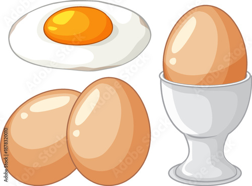 Vector Illustration of Fried Egg and Brown Eggs in Different Forms