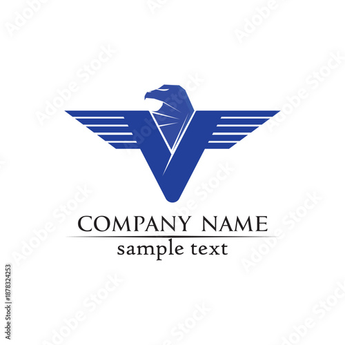  V letters business logo and symbols template