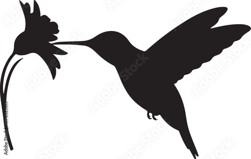 Black silhouette of hummingbird feeding on flower