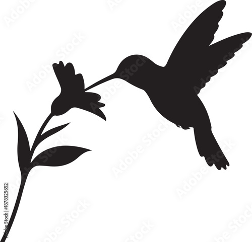 Black silhouette of hummingbird feeding on flower nature