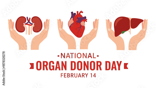 Hands holding human organs illustration for National Organ Donor Day on February 14