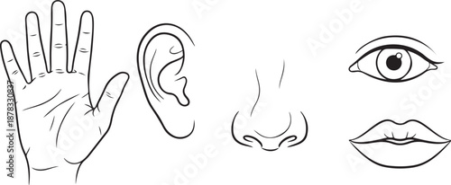 Black and white line of human body parts hand nose