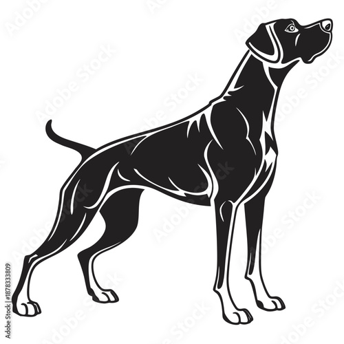 Black and white dog silhouette