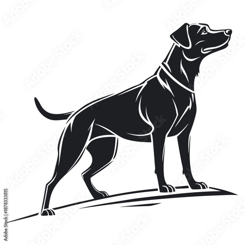 Black and white dog silhouette