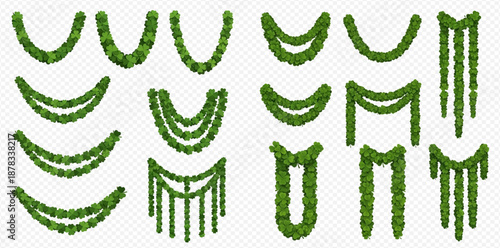 Set of green ivy garlands and borders for decoration.