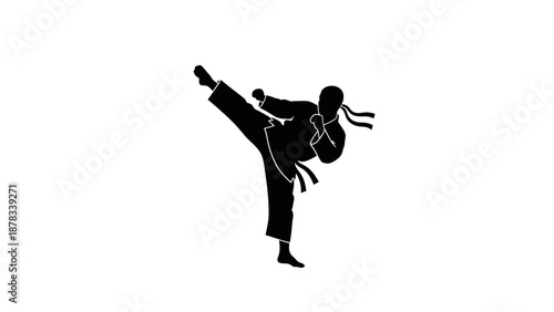 Karate fighter silhouette doing high kick, isolated on white
