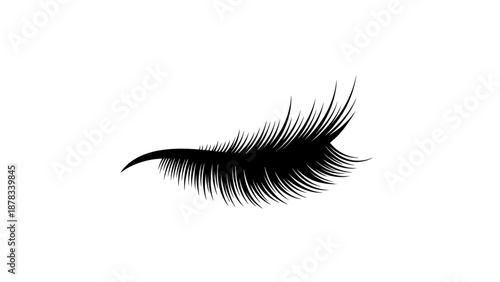Black Eyelash Silhouette on White Background