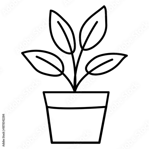 house plant in a pot illustration