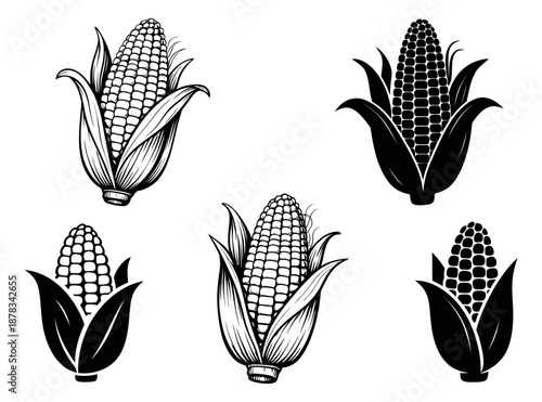 Hand drawn corn illustration set featuring line art and silhouette styles of corn cobs for food and farming concepts