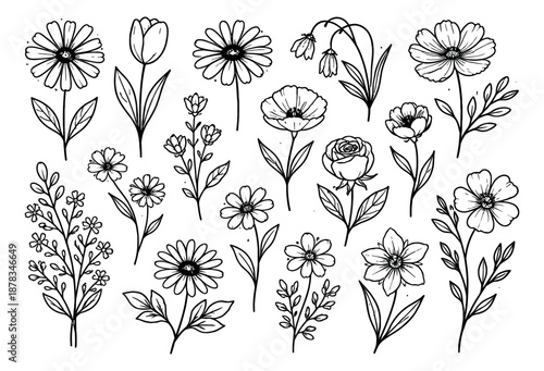 Hand drawn line art floral elements set featuring a variety of blooming flowers and botanical sprigs for spring and nature-themed designs