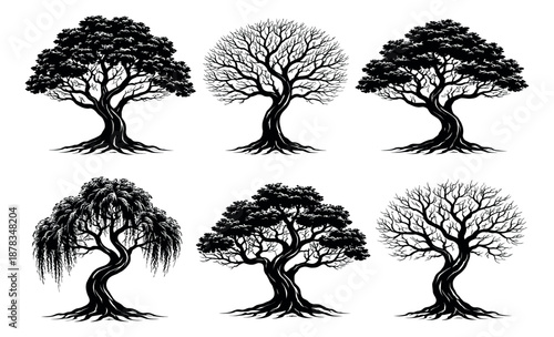 Hand drawn line art tree set featuring various mature trees with and without foliage for design projects