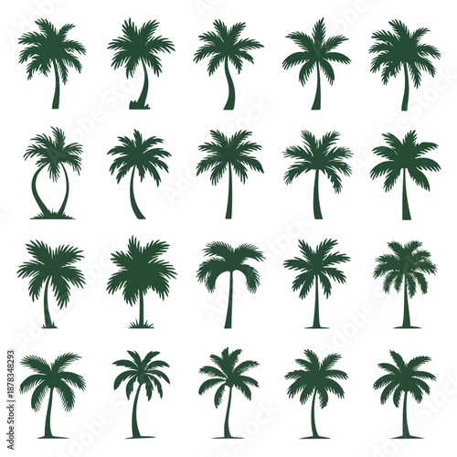 collection of various green palm tree silhouettes on a plain white background for design and decoration purposes