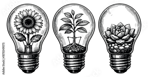 Hand drawn line art ecology light bulb set featuring a sunflower, a plant, and a succulent for environmental ideas