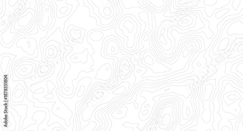 Vector geographic contour map. Background of the topographic map. Topographic map lines, contour background.
