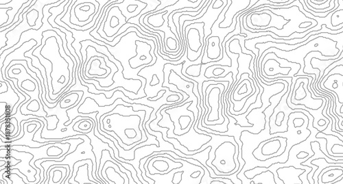 Topography background. Vector banner. Topography map background. Vector geographic contour map. Background of the topographic map.