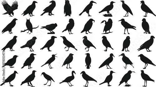 Collection of various black bird silhouettes in different poses on a white background high quality professional