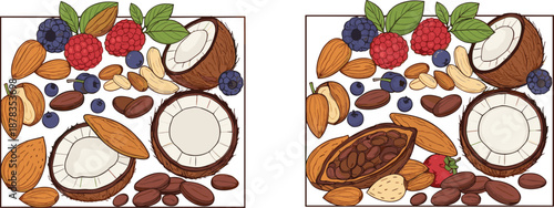 Mixed nuts and berries frame illustration, coconut almonds cashew blueberries raspberries healthy snack border isolated on white