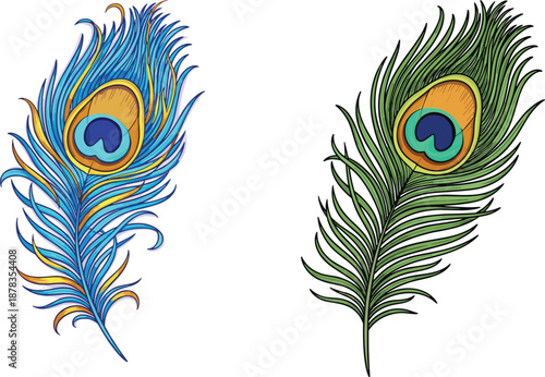 Peacock feather illustration set, colorful artistic and natural bird plumage design, decorative exotic vector artwork, isolated on white background