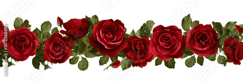 Crimson Rose Border: A captivating display of vibrant red roses blossoms in a row, with verdant green leaves. The perfect image for romance and aesthetic appeal.