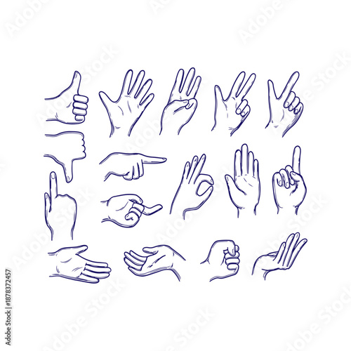 A collection of various hand gestures in sign language