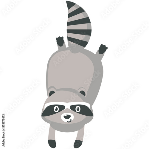 Funny raccoon cute animal vector character playing icon. Comic curious mascot emotion illustration isolated on white background