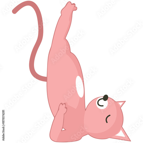 Yoga cat training vector. Funny domestic animal cartoon character illustration. Kitten standing in sarvangasana birch pose isolated on white background. Fitness, pilates, sport, gymnastics workout