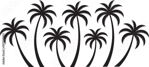 Black palm tree silhouettes on white background palm trees black and white tropical