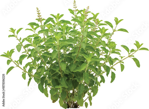 Social Media Marketing Strategy Illustration with Mobile Phone, Social Icons and Engagement Metrics