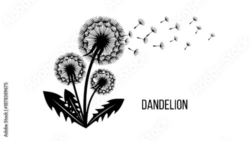 A delicate dandelion vector art on a white background, featuring fine lines and soft details. The floating seeds evoke a sense of freedom, renewal, and nature's fleeting beauty in a minimalist design.