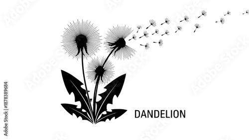 A delicate dandelion vector art on a white background, featuring fine lines and soft details. The floating seeds evoke a sense of freedom, renewal, and nature's fleeting beauty in a minimalist design.