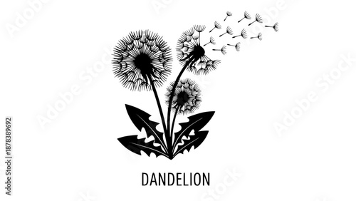 A delicate dandelion vector art on a white background, featuring fine lines and soft details. The floating seeds evoke a sense of freedom, renewal, and nature's fleeting beauty in a minimalist design.