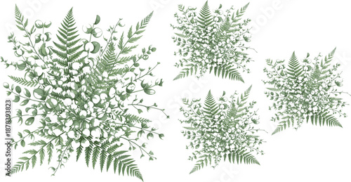 Elegant green botanical bouquet illustration set with fern and eucalyptus foliage for wedding, branding, decor designs