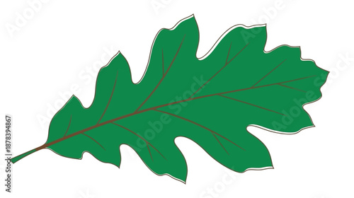 A large green leaf with red veins on a white background