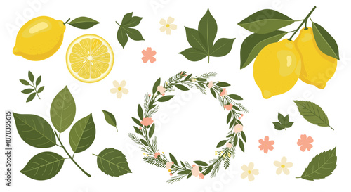 Large collection of lemon-themed illustrations including whole lemons, slices, a wreath of foliage, and individual leaves and flowers in bright yellow.