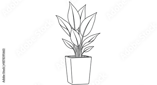 Simple line art illustration of a leafy houseplant with large pointed green leaves growing in a plain rectangular pot on a white background.