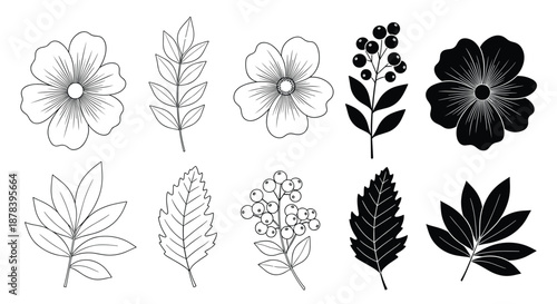 Assortment of black and white botanical illustrations including various flowers, leaves, and berry clusters in different detailed drawing styles.