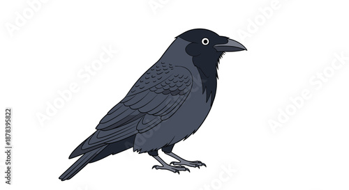 Cartoon illustration of a black crow perched and looking forward against a plain white background for bird species concept.