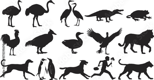 Wild animal silhouette set featuring birds mammals reptiles and human figure, zoo and farm wildlife collection, black flat vector illustration icons