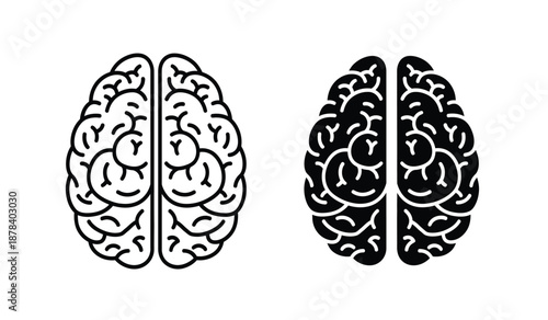 Black and white illustration of human brain hemispheres side by side