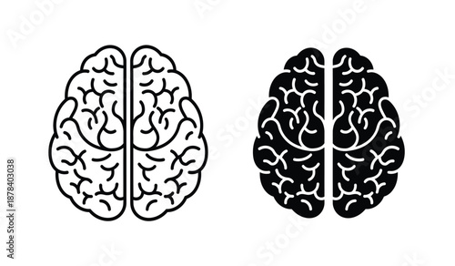 Black and white illustration of human brain hemispheres side by side