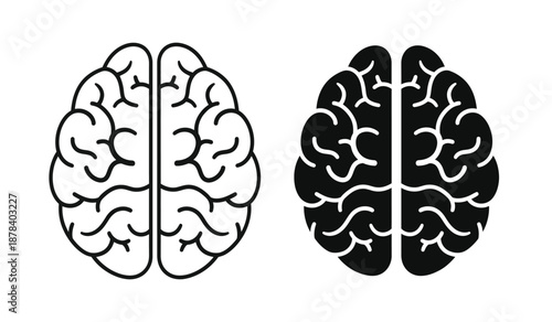 Black and white illustration of human brain hemispheres side by side