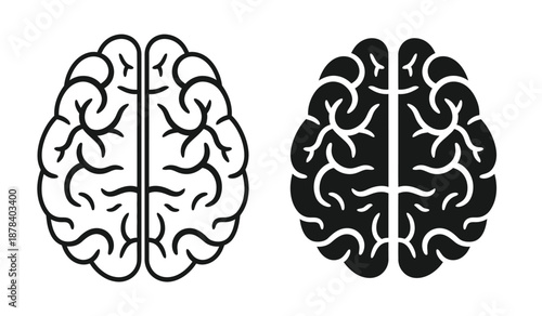 Black and white illustration of human brain hemispheres side by side