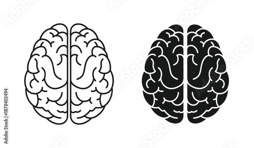 Black and white illustration of human brain hemispheres side by side