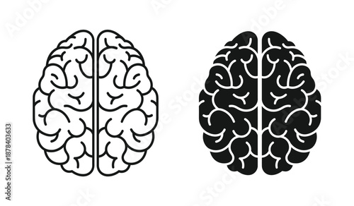 Black and white illustration of human brain hemispheres side by side