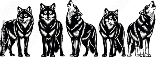 Five stylized wolf silhouettes in row, howling and standing poses, detailed fur illustration – flavector