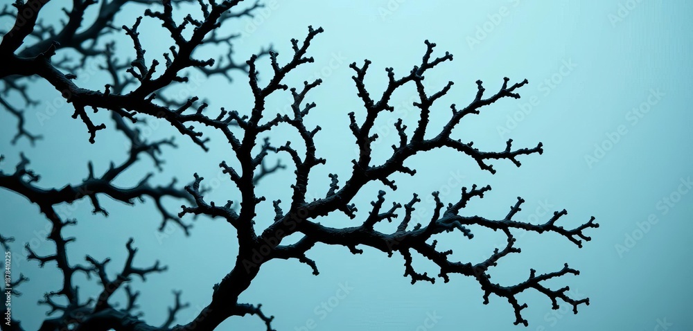 Obraz premium Intricate black coral branches, dark against a light background, colony, coral reef
